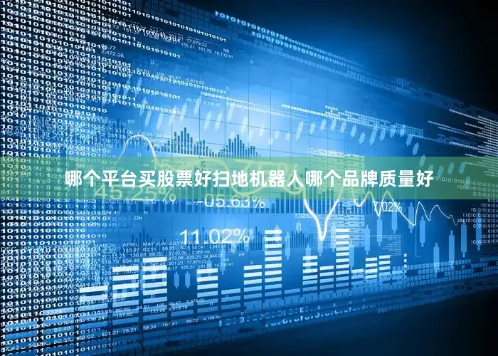 哪个平台买股票好扫地机器人哪个品牌质量好
